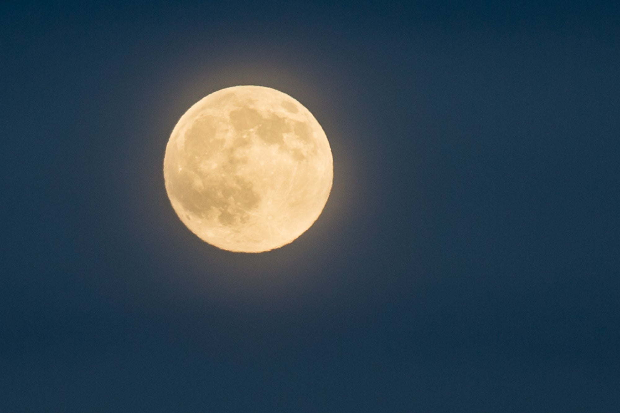 Wein für Vollmond - weinhof.thomas.diem