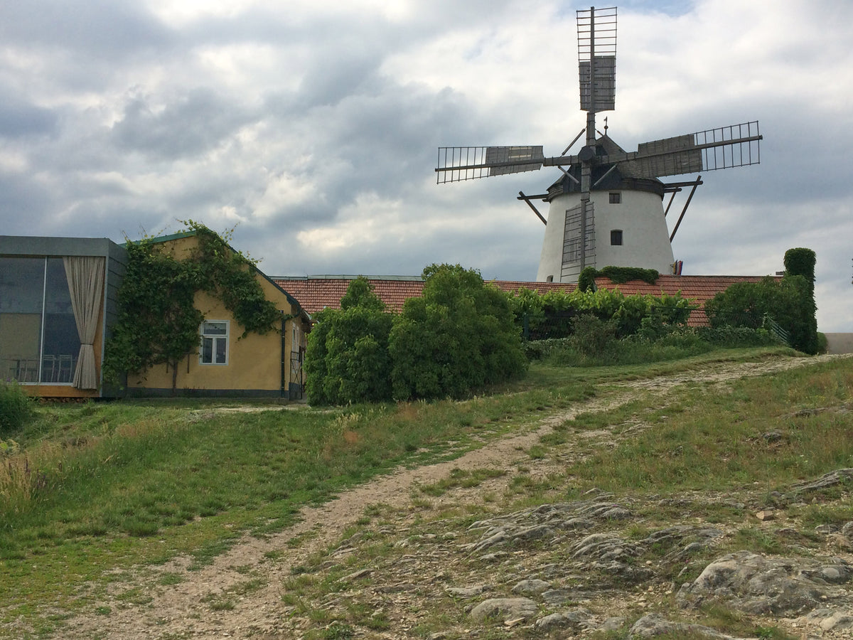 Windmühle in Retz – Ausflugsziel nahe Jetzelsdorf und weinhof.thomas.diem